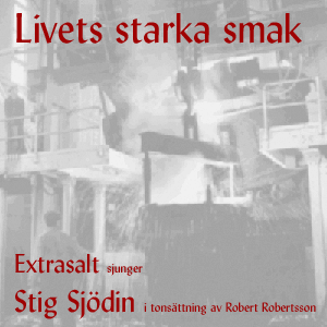 En bild av vårt skivomslag